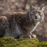 幸運を掴むのは誰か？　～文明の知られざる側面～