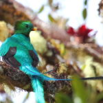 女性にモテる方法教えます　～恋に上がる階段なんです～